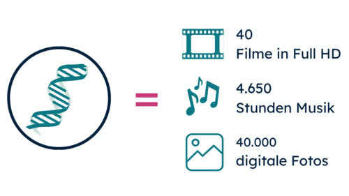Vergleichsgrafik zu Genomdaten und digitalen Datenmengen mit DNA-Helix sowie Symbolen für Filme, Musik und Fotos.  Ein menschliches Genom entspricht „40 Filmen in Full HD“, „4.650 Stunden Musik“ oder „40.000 digitalen Fotos“.