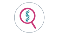 Schmuckicon: DNA unter Lupe.