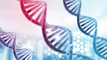 Mehrere rote und blaue DNA-Doppelhelix-Strukturen vor einem Hintergrund mit hexagonalen Mustern